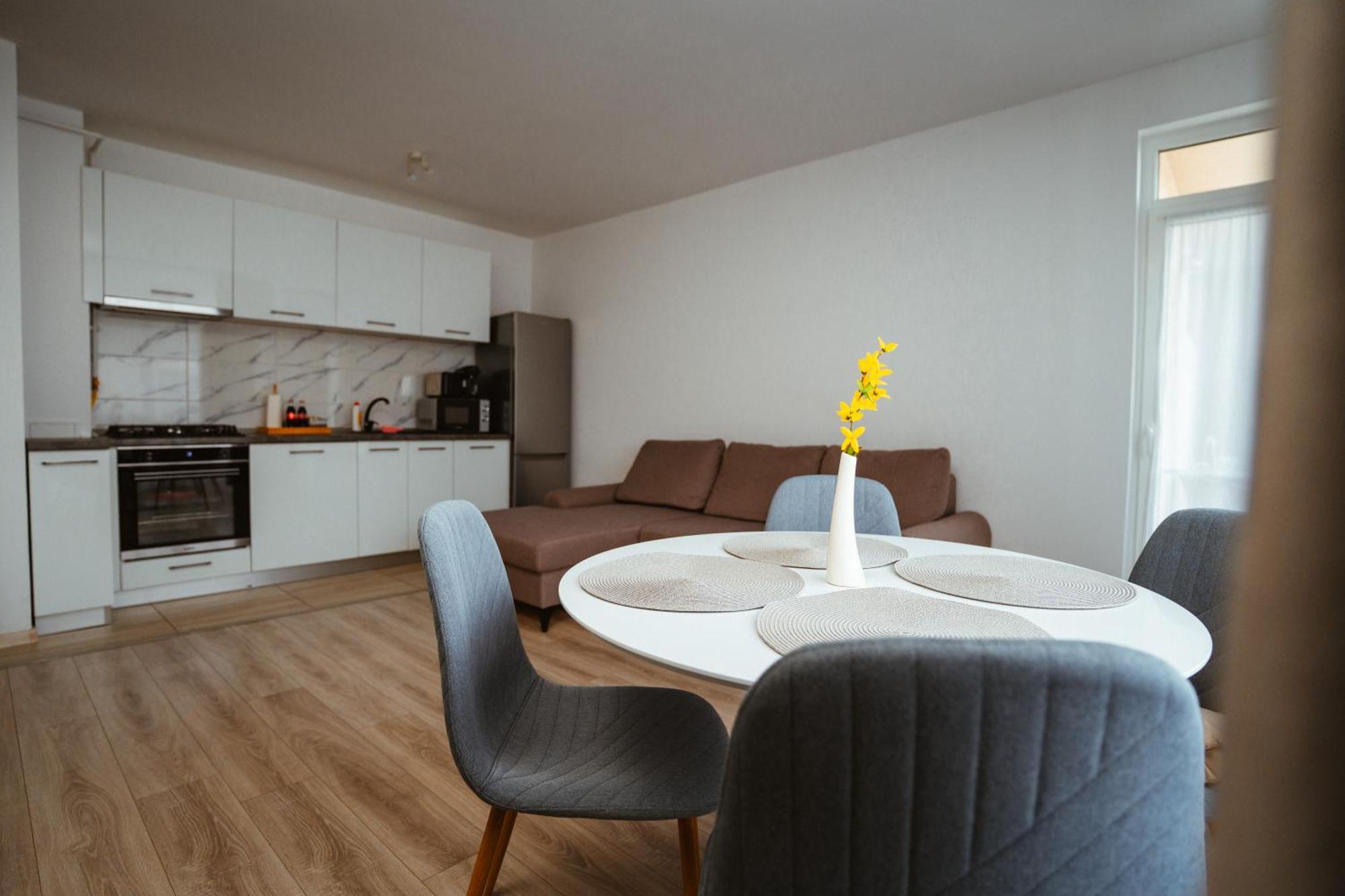 Maria'S Premium Suite Baia Mare Ngoại thất bức ảnh