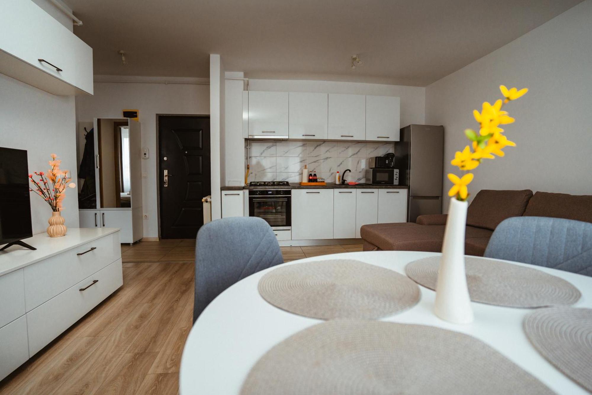 Maria'S Premium Suite Baia Mare Ngoại thất bức ảnh